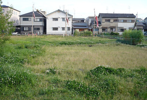 农村土地、宅基地使用权及房屋经营权转让合法