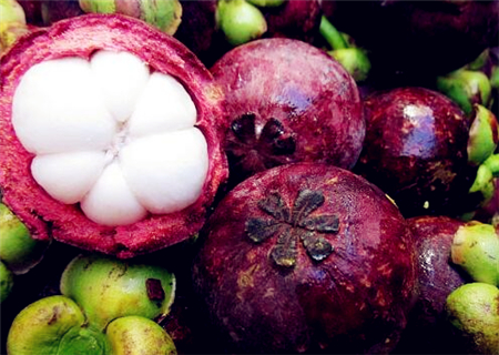 山竹几月份吃最好?如何辨别山竹的好坏?