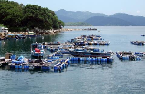 节肢动物基围虾多少钱一斤?养基围虾一亩一