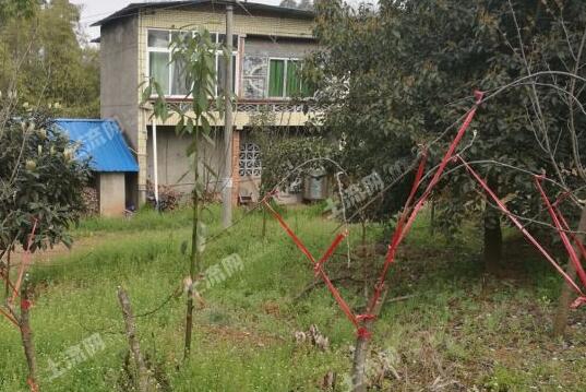 2019农村低保还有吗?每人每年补贴标准是多少