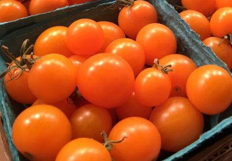 西红柿(番茄)的功效与作用及禁忌有哪些?生吃