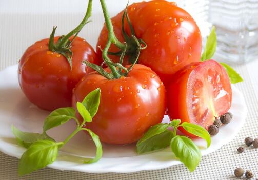 吃西红柿能减肥吗?一天吃几个合适?什么时候