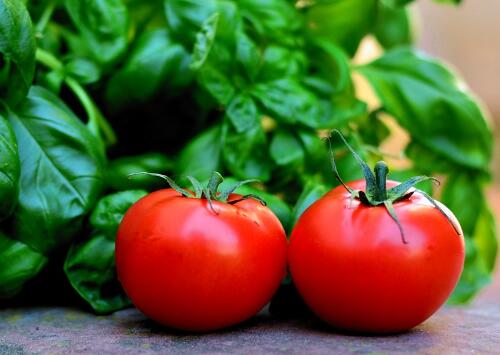 吃西红柿能减肥吗?一天吃几个合适?什么时候