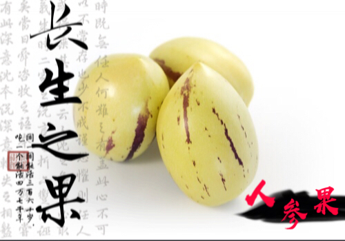 抗癌之王人参果树苗多少钱一株?种一亩大约