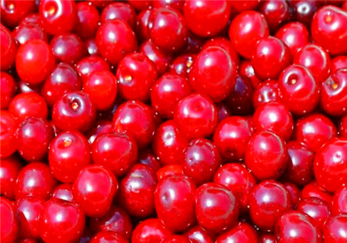小红莓蔓越莓的功效与副作用有哪些?真的治