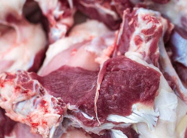 专家介绍:羊贵妃卷土重来!2018-2019年羊肉