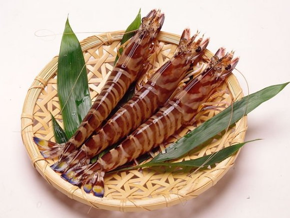 海鲜虾类有哪几种?海鲜大虾品种
