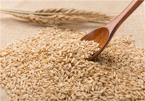 植物黄金 燕麦的产地在哪里 附燕麦的高产种植方法 土流网