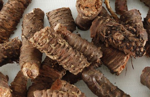 红景天价格多少钱一斤?功效与作用有哪些?