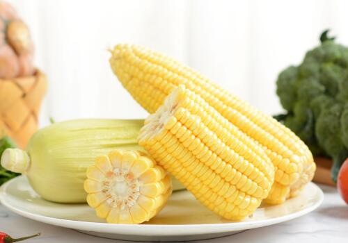 玉米-摄图网