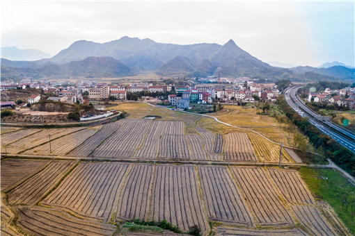 村委无权流转农村土地