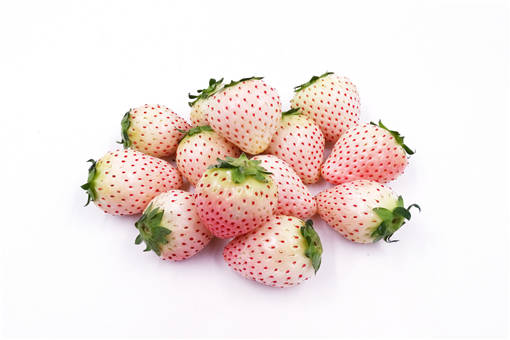 2020年白草莓价格多少钱一斤
