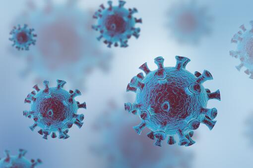 �����¹ڷ��׳�195����