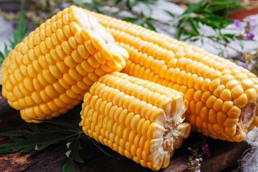 玉米——摄图