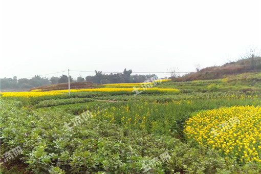 2016年辽宁省抚顺县农业产业扶持政策