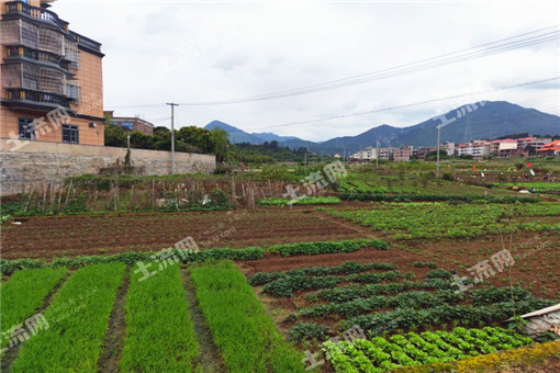 江西赣州市中心城区蔬菜基地建设扶持政策