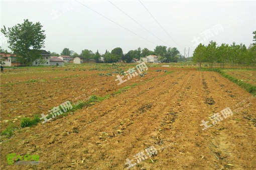 广西平果县2016年特色农业发展扶持政策