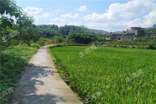 黄州区2016年农业支持保护补贴用于耕地地力保护的实施方案