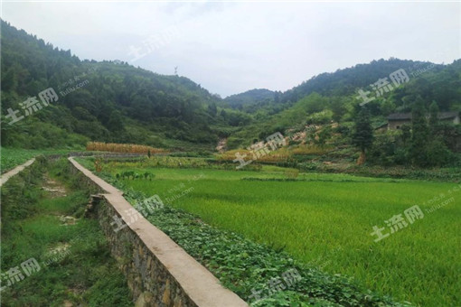 台安县2016年对种粮农民发放耕地地力保护补贴资金总额及标准的公告