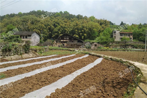 远安县2016年农业支持保护补贴按照113.7元/亩发放到位！