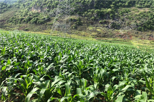 宝应县2016年农业支持保护补贴（耕地地力保护）管理工作实施方案