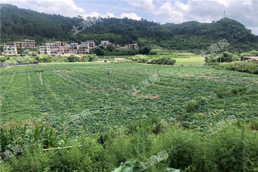 邓州市2016年耕地地力保护补贴工作实施方案