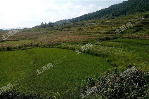 2016洪江市关于快培育发展家庭农场的意见