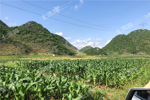 2016年龙凤镇调整完善农业三项补贴政策实施方案
