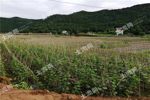 定兴县2016年农业支持保护补贴资金实施办法
