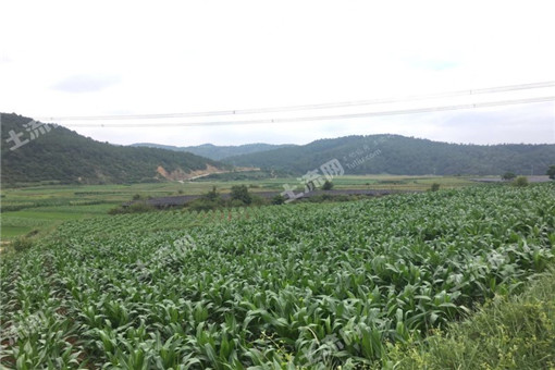 黄梅县2016年农业支持保护补贴用于耕地地力保护的实施意见