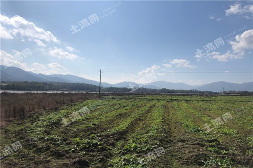 城步苗族自治县“十三五”现代农业发展规划（2016—2020年）
