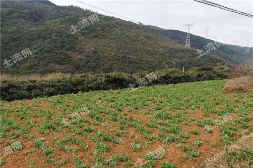 台州市黄岩区2016年粮食生产扶持政策