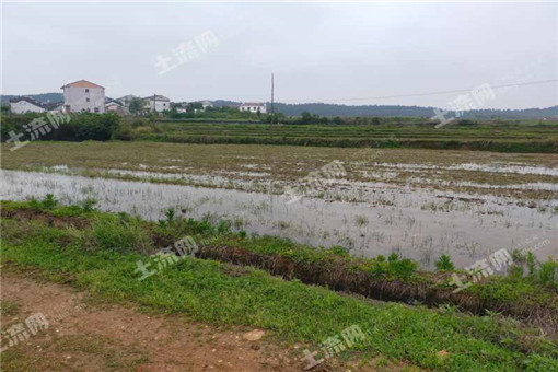 应村乡2016年粮食生产扶持政策落实意见