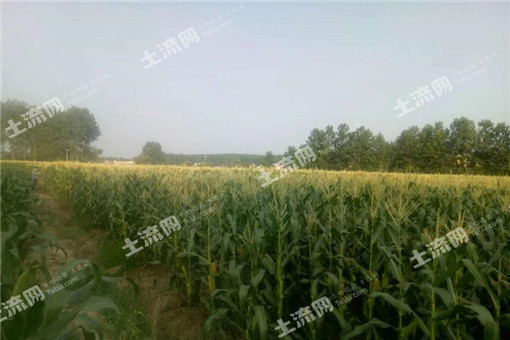 2016沅陵县农业“三项补贴”改革实施方案