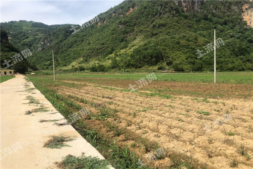 新平县古城街道组织发放2016年农业支持保护补贴103万元！