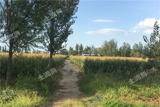 淮北市“十三五”农业和农村经济发展规划