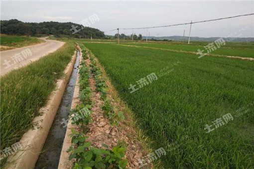 砚山县2016年中央农业支持保护补贴实施方案