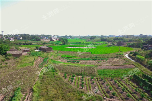 上江镇2016年中央农业支持保护补贴面积统计和上报