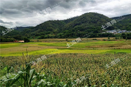 屏南县关于下达2016年农业支持保护补贴资金的通知