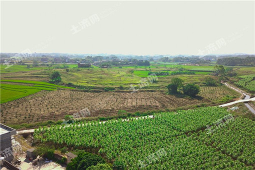 2016年重庆市农业支持保护补贴兑付情况通报