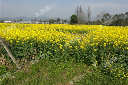 2016巴彦淖尔市建立玉米生产者补贴制度实施方案
