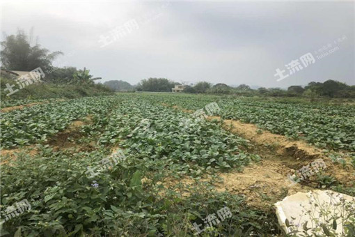 彭阳县关于下达2016年农业支持保护补贴资金的通知