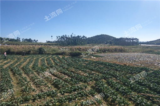 2016磐安县关于加快现代农业发展的实施意见