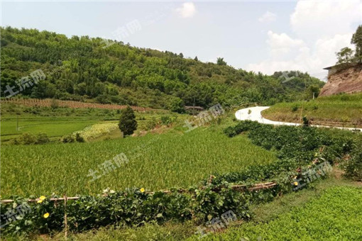 镇康县“十三五”高原特色农业产业发展规划
