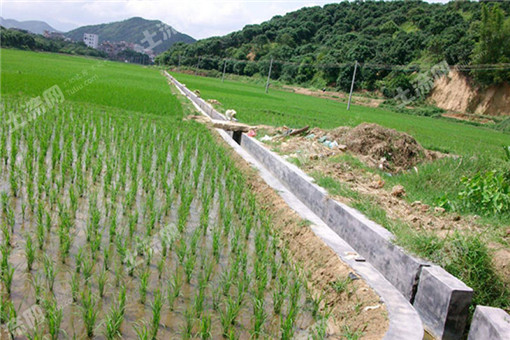 2016荔浦县家庭农场发展实施方案