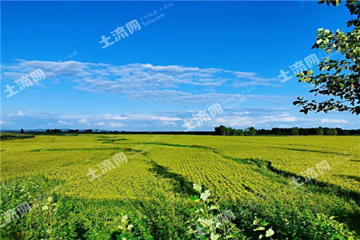 漳浦县官浔镇关于下达2016年农业支持保护补贴资金的通知