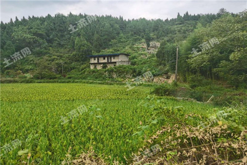 东山县2016年农业“三项补贴”改革工作实施方案