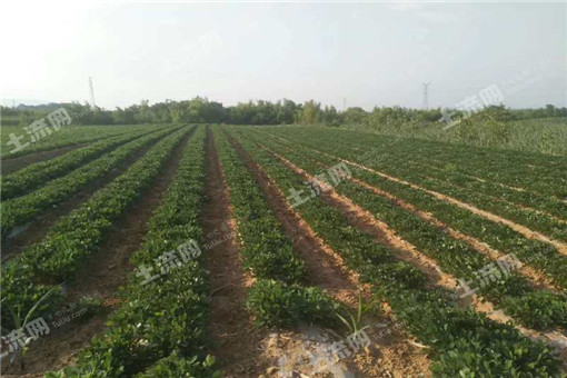 湖北省农业发展“十三五”规划纲要 下