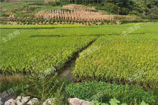 泰州市关于做好2016年农业支持保护补贴（粮食适度规模经营）实施工作的通知