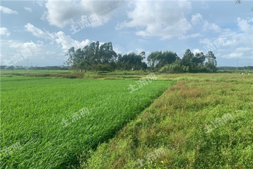 上海市青浦区2016年水稻直补与农资综合补贴标准是多少?